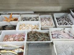 -宾朋海鲜特色美食餐厅·纯手工鲅鱼水饺(兴海路店)