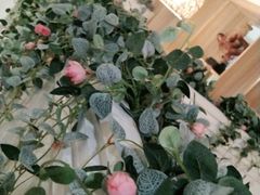 -咖啡人·融合餐厅(万达环宇店)