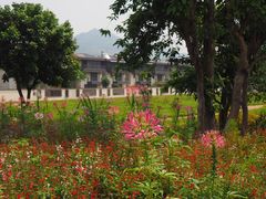 -孔雀湖生态旅游区