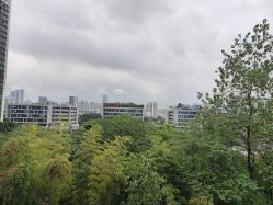 -金芙美月子中心(财富别墅店)