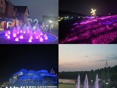-大塘金香草谷