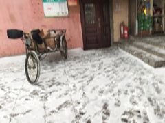 -健康小吃