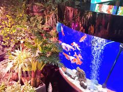 -莫太花餐厅(河北路店)