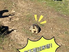-墨石公园景区