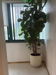 -WENDY·温迪皮肤管理