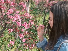 -苏州环秀晓筑养生度假村