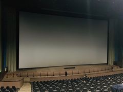 -天幕新彩云国际影城(激光巨幕店)