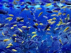 -大明湖海底世界