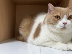 -谐和益家动物医院·免疫绝育·血液透析·宠保定点医院(高新伊藤分院)