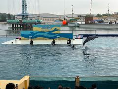 -秦皇岛乐岛海洋王国