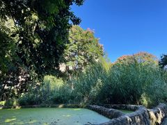 -成都市活水公园