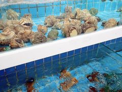 水产区-双海酒店·海鲜家常菜(南戴河店)