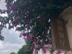 -喜洲翰林餐厅(董家百年老宅店)