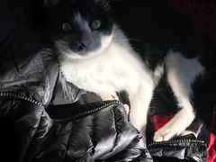 -上海民办包玉刚实验学校(小学部)