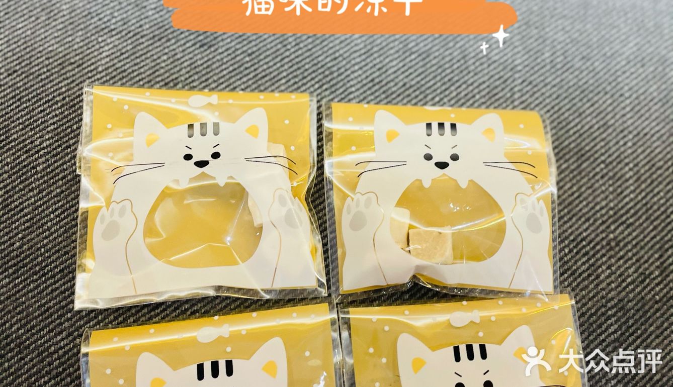探店丨猫先生之家·猫舍