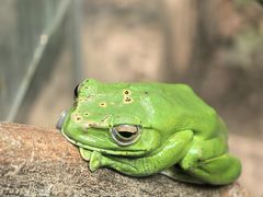 -上海大自然野生昆虫馆(东方明珠·爬宠昆虫探索中心)