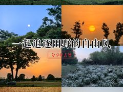 -汉长安城未央宫国家考古遗址公园