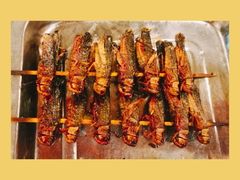 -凤齐羊肉烩面馆