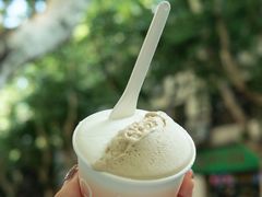 无花果叶-Dip in Gelato(富民路店)