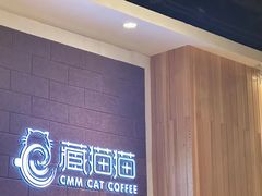 -藏猫猫咖啡主题馆(中央大道店)