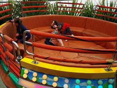 -南宫五洲植物乐园