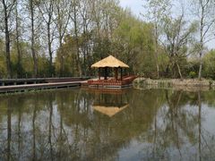 -溱湖国家湿地公园