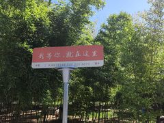 -杨家埠民间艺术大观园