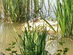 -大连植物园