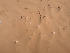 -青岛银沙滩
