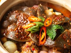 甲鱼煲-金龙·打边炉(南京西路店)