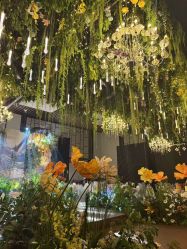 -成都世外桃源酒店-宴会厅·草坪婚礼·会议活动