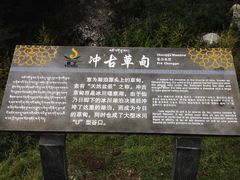 -稻城亚丁景区-冲古草甸