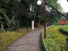 -重庆彩云湖湿地公园