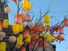 -龙湖星悦荟(颐和店)