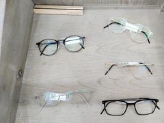 -大视光学•LINDBERG林德伯格•全球手工眼镜集合店(王府井店)