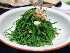 凉拌鲜沙葱-蒙料·手把肉(望京店)