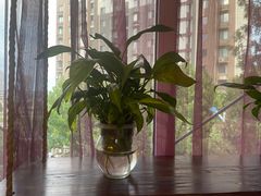 -77号渔船·蒸海鲜青岛菜(积米崖店)