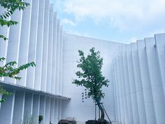 -中国宣纸文化园