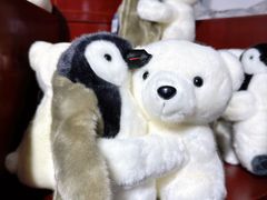 -太平洋海底世界