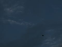 -河泥荡文化公园