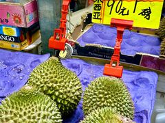 -油麻地果栏