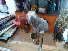 -森野花艺培训·企业团建活动沙龙