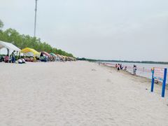 -呼兰河口湿地公园