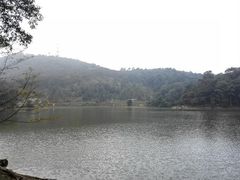 -广州市石门国家森林公园