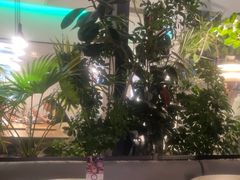 -gaga(深圳南山益田假日广场店)