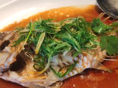 -金悦轩海鲜城(渔人码头店)
