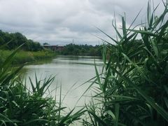 -白鹭湾湿地公园