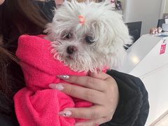 -美联众合动物医院·24h京西诊疗中心