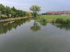 -上海东方佘山翰悦阁酒店·Vie全日制餐厅