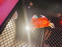 -谢蟹浓·肉蟹煲(新奥店)